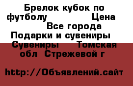 Брелок кубок по футболу Fifa 2018 › Цена ­ 399 - Все города Подарки и сувениры » Сувениры   . Томская обл.,Стрежевой г.